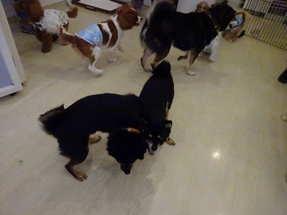 DSC04148.jpg
