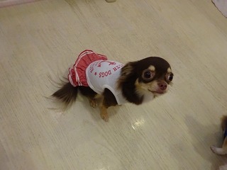 DSC04164.jpg