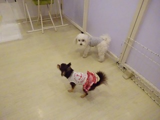 DSC04173.jpg