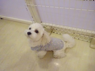 DSC04177.jpg