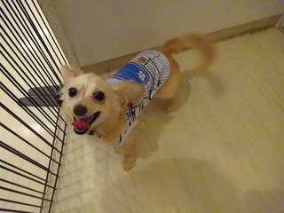 DSC04189.jpg