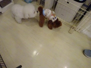 DSC04208.jpg