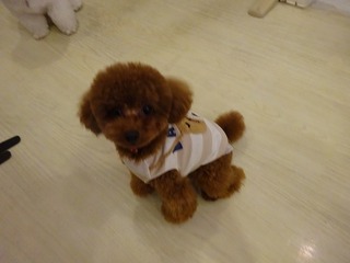 DSC04209.jpg