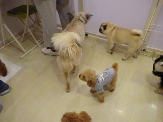 DSC04213.jpg