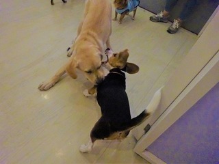 DSC04216.jpg
