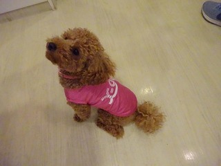 DSC04217.jpg