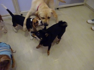 DSC04231.jpg