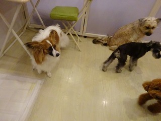DSC04235.jpg