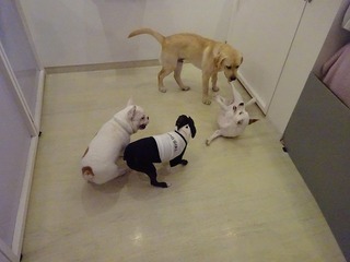 DSC04254.jpg