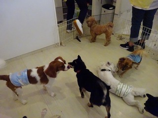 DSC04261.jpg