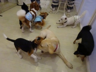 DSC04274.jpg