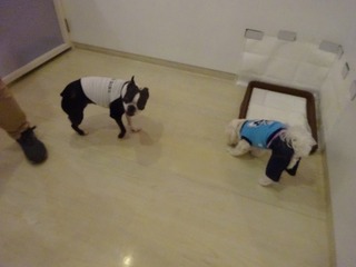 DSC04282.jpg