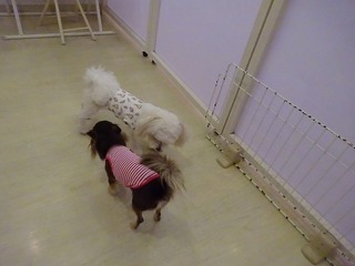 DSC04328.jpg