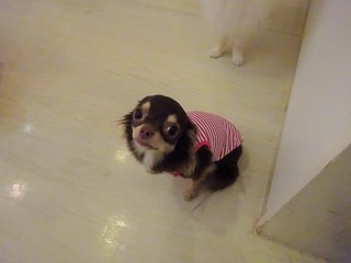 DSC04345.jpg