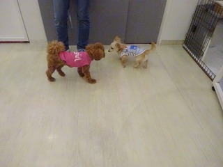 DSC04357.jpg