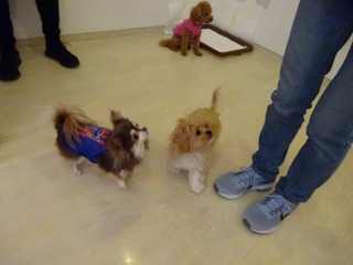 DSC04444.jpg