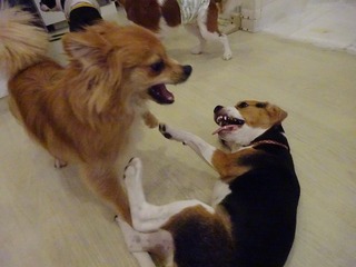 DSC04463.jpg