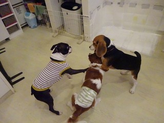 DSC04464.jpg