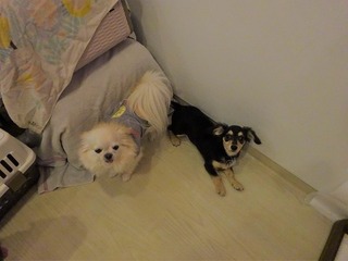 DSC04478.jpg