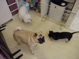 DSC04489.jpg