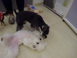 DSC04505.jpg
