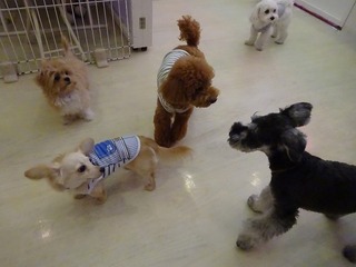 DSC04530.jpg