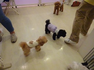 DSC04534.jpg