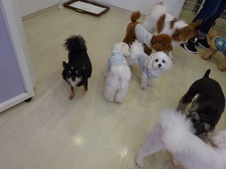 DSC04561.jpg