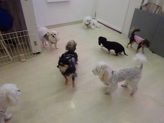DSC04610.jpg