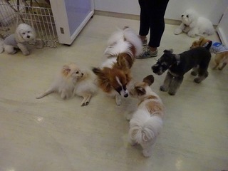 DSC04644.jpg