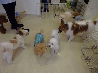 DSC04667.jpg