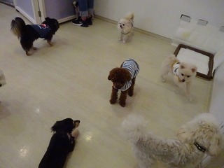 DSC04691.jpg