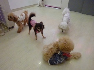 DSC04727.jpg