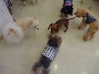 DSC04747.jpg