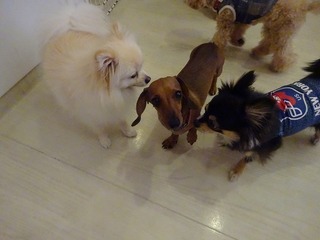 DSC04750.jpg