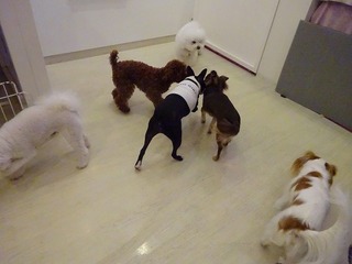 DSC04796.jpg
