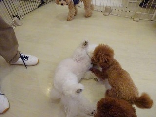 DSC04814.jpg