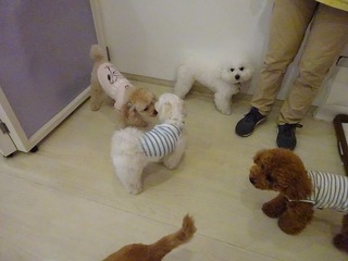 DSC04840.jpg
