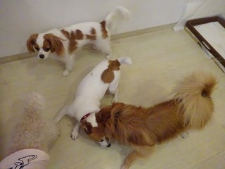 DSC04888.jpg