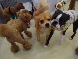 DSC04893.jpg