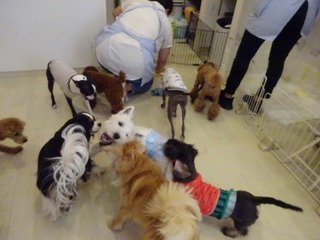 DSC05004.jpg