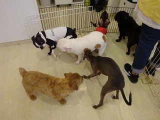 DSC05013.jpg
