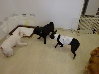 DSC05021.jpg
