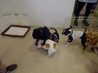 DSC05022.jpg