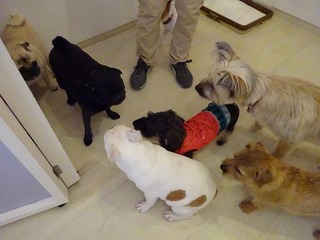 DSC05024.jpg