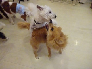 DSC05026.jpg