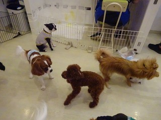 DSC05027.jpg