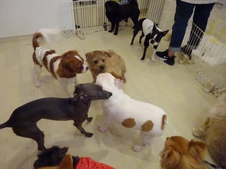 DSC05031.jpg