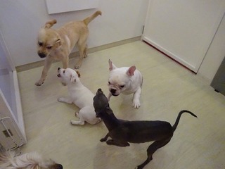 DSC05047.jpg