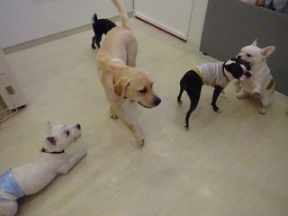 DSC05050.jpg
